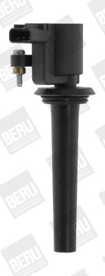 BorgWarner (BERU) ZS389 Ignition Coil