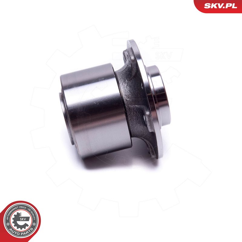 ESEN SKV 29SKV558 Wheel Bearing Kit