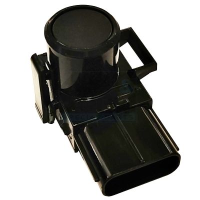 m_228795.JPG