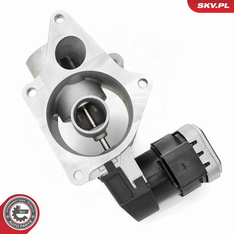 ESEN SKV 14SKV279 EGR Valve