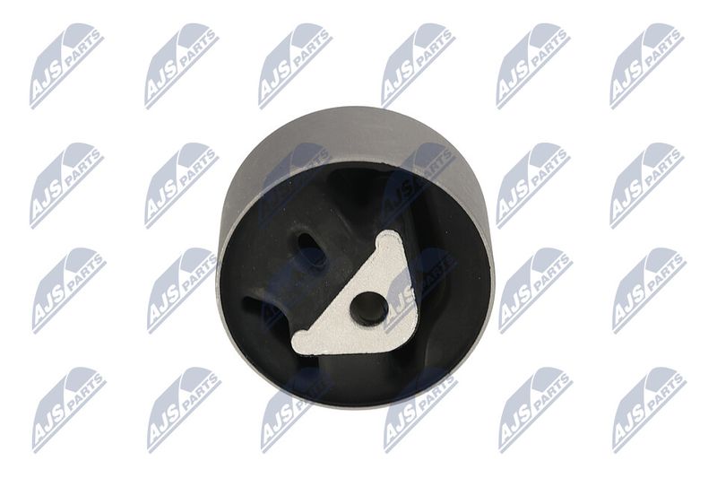 Paigutus, Mootor, NTY ZPS-CH-039