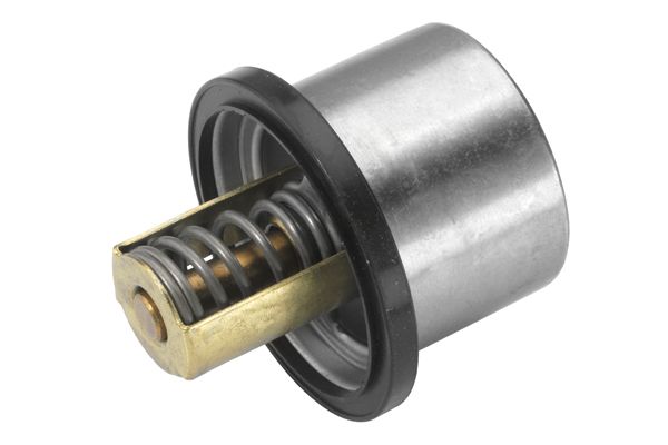 BorgWarner (Wahler) 411133.80D Thermostat, coolant