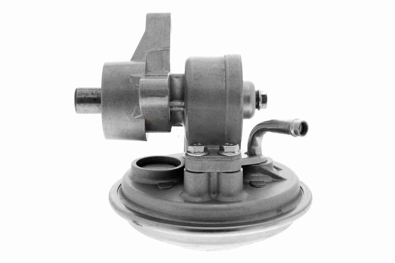 VAICO V25-1907 Mounting, engine