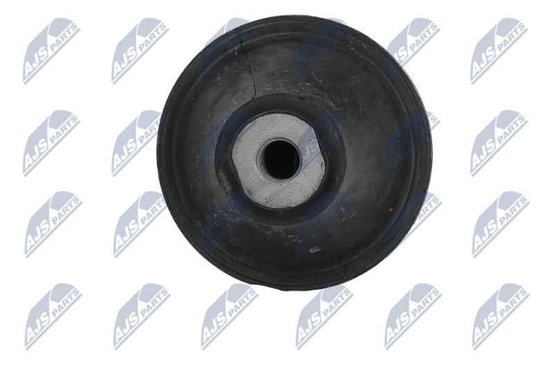 Paigutus, Mootor, NTY ZPS-NS-089