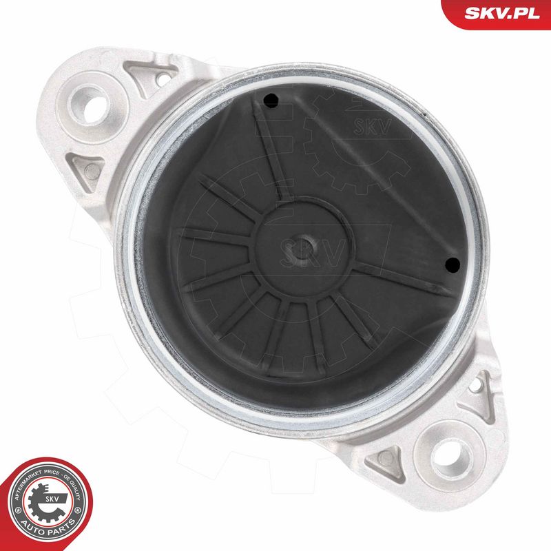 Paigutus, Mootor, ESEN SKV 75SKV297