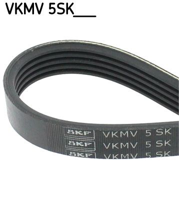 Поліклиновий ремінь, Skf VKMV5SK705