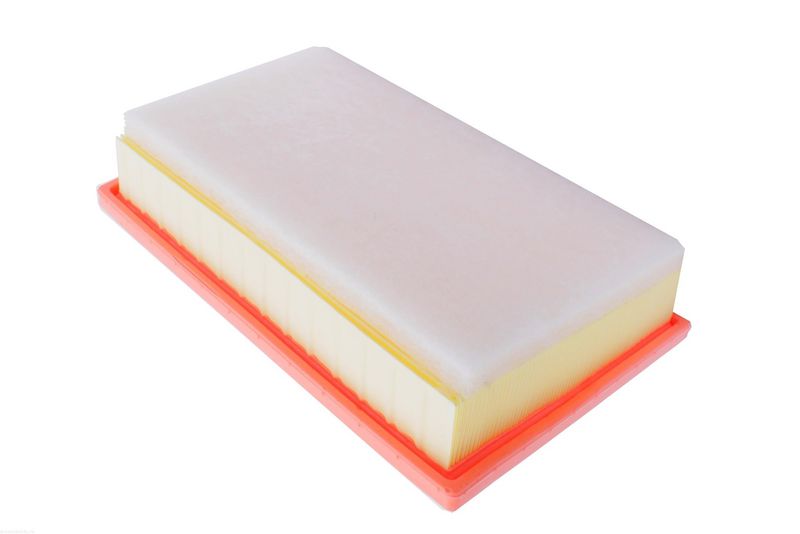 AUTOMEGA 250053210 Air Filter