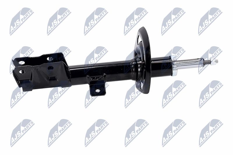 Amort, NTY A-CH-056