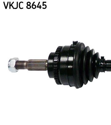VKJC 8645_2.JPG