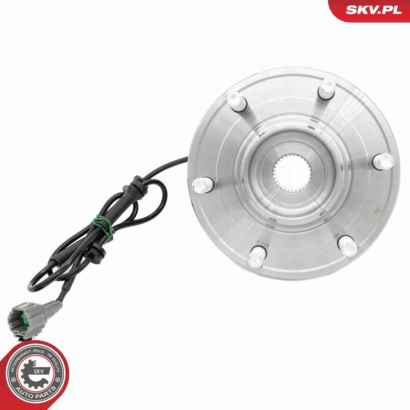 ESEN SKV 29SKV629 Wheel Bearing Kit