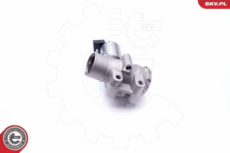 ESEN SKV 14SKV186 EGR Valve