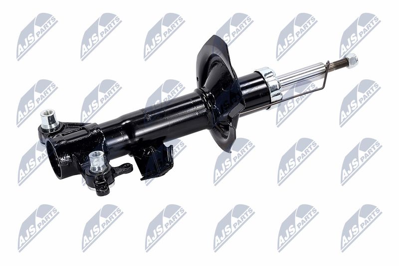 Amort, NTY A-NS-016