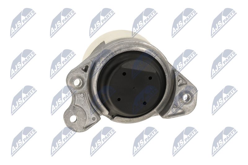 Paigutus, Mootor, NTY ZPS-ME-052