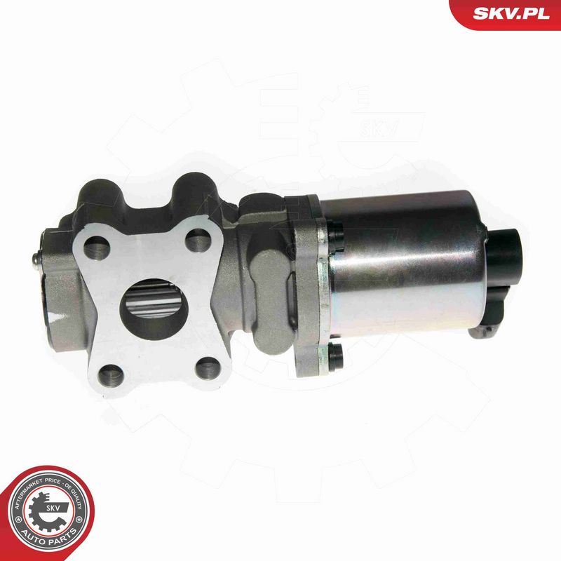 ESEN SKV 14SKV088 EGR Valve