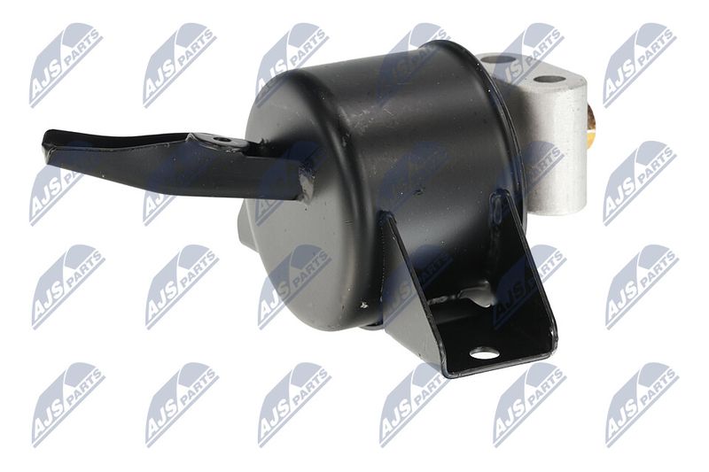 Paigutus, Mootor, NTY ZPS-DW-010