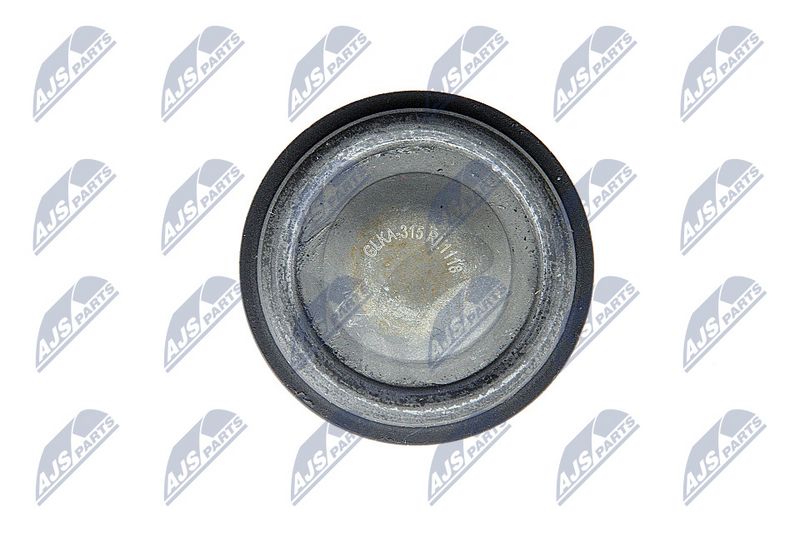 Kande-, juhtliigend, NTY ZSD-KA-315