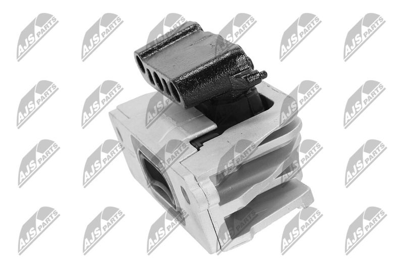 Paigutus, Mootor, NTY ZPS-CH-103