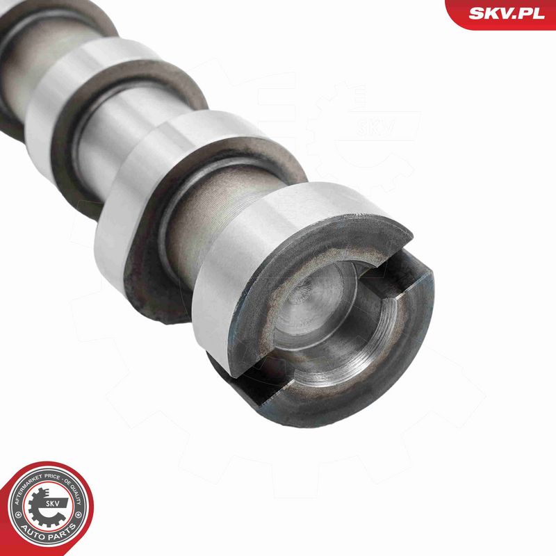 ESEN SKV 80SKV300 Camshaft Kit