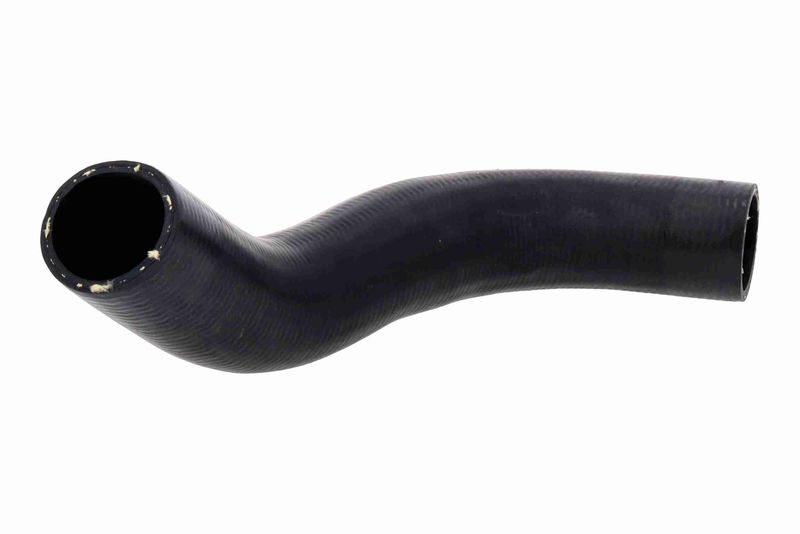 Exhaust System