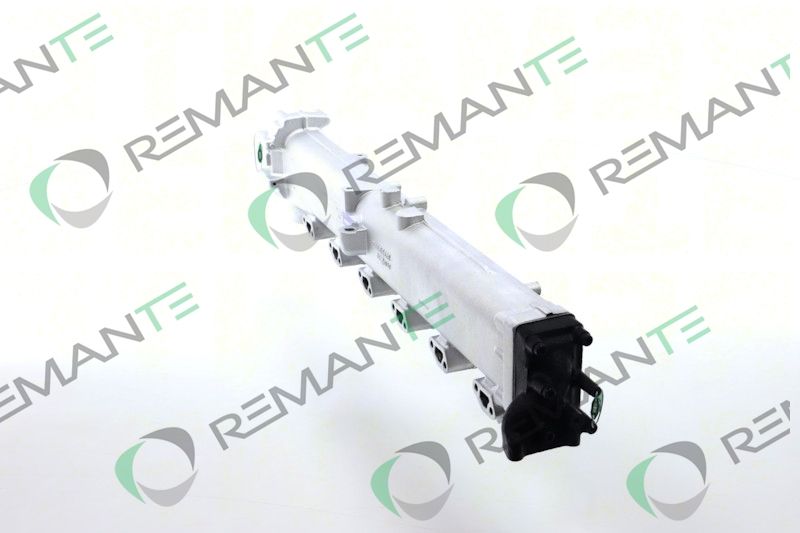 REMANTE 010-001-000005R EGR Module
