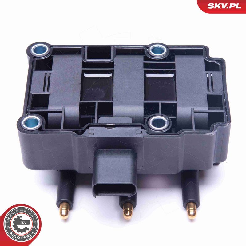 ESEN SKV 03SKV248 Ignition Coil