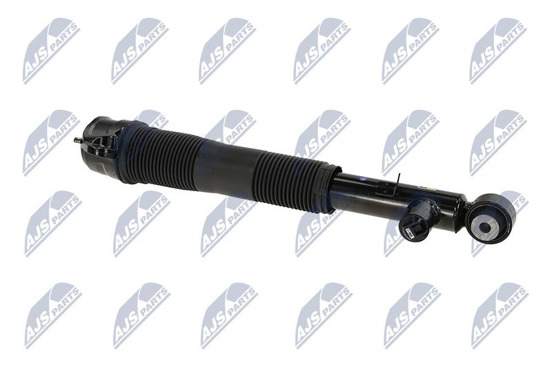 Amort, NTY A-LR-036