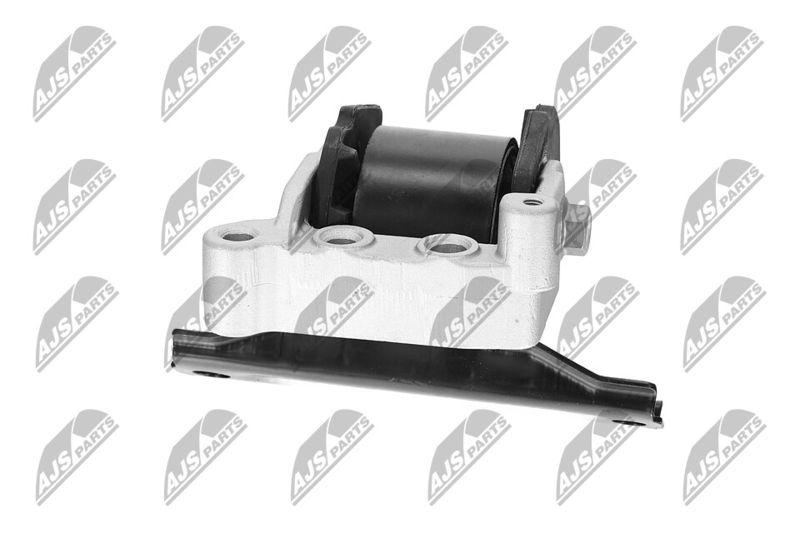 Paigutus, Mootor, NTY ZPS-CH-071