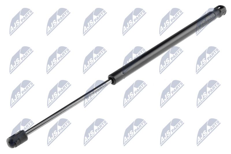 NTY AE-SU-000 Gas Spring, boot/cargo area