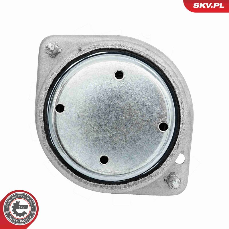 Paigutus, Mootor, ESEN SKV...