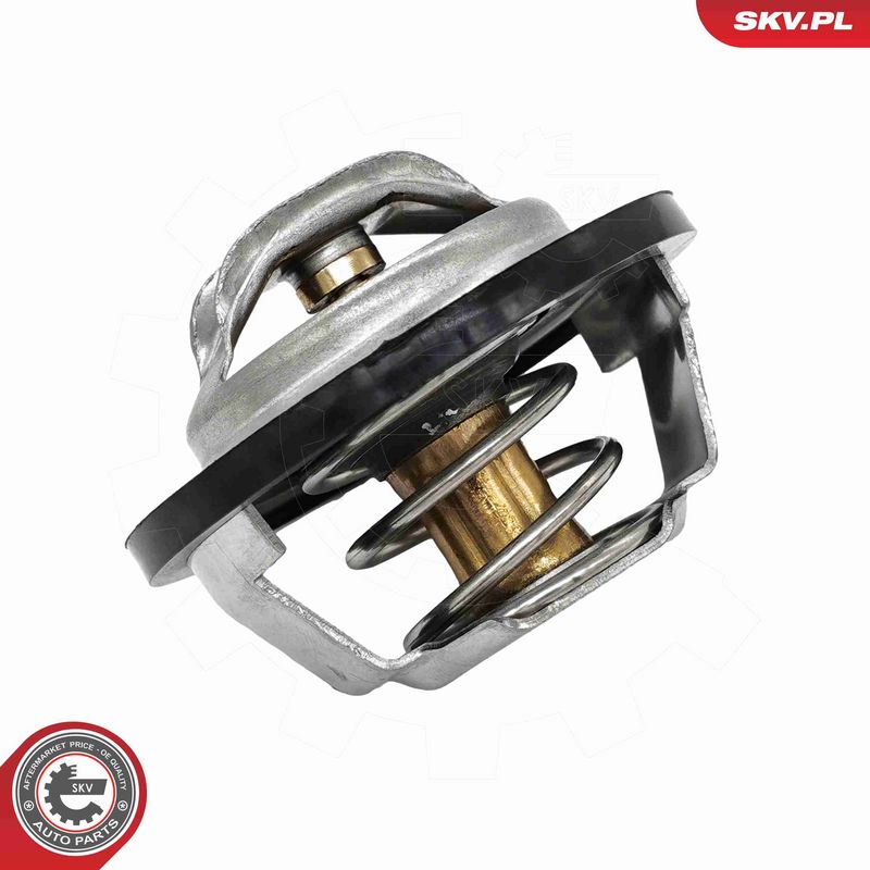 ESEN SKV 20SKV244 Termostatas