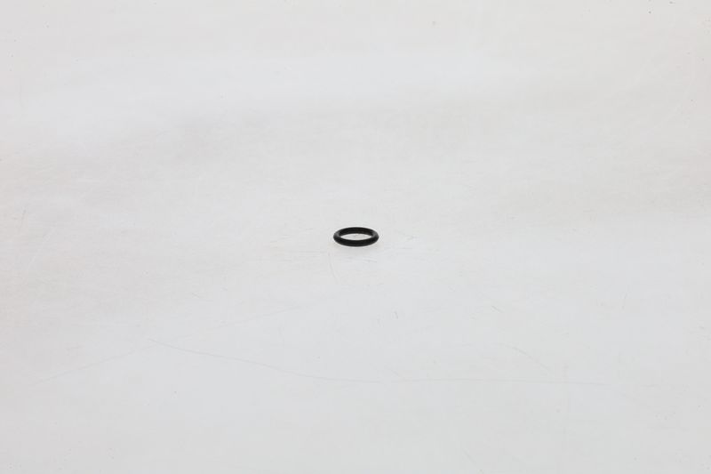 BOSCH F002A51088 Rubber Ring