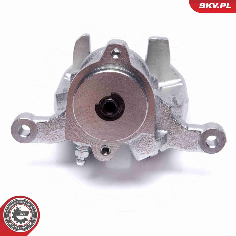 ESEN SKV 56SKV353 Brake Caliper