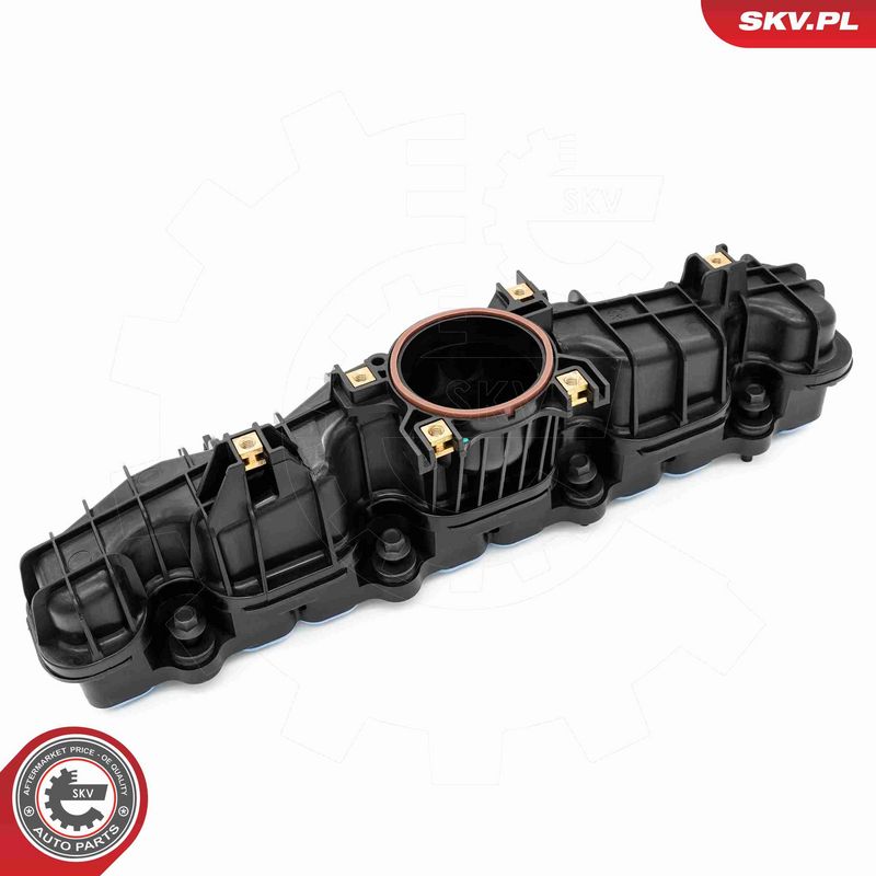 ESEN SKV 49SKV089 Intake Manifold Module