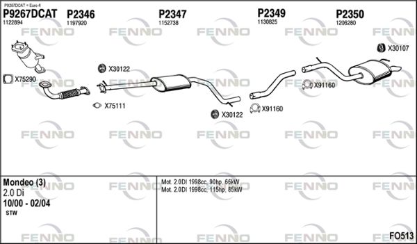 FO513.JPG