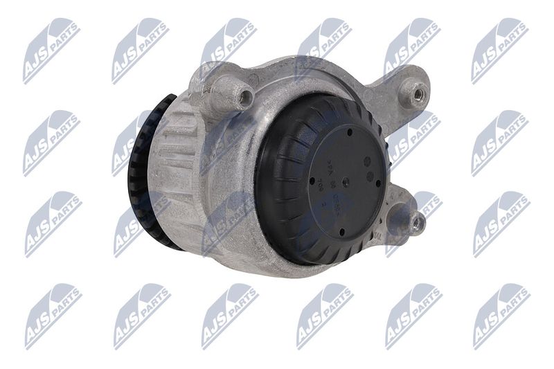 Paigutus, Mootor, NTY ZPS-ME-031