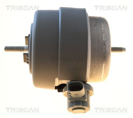 окачване, двигател TRISCAN