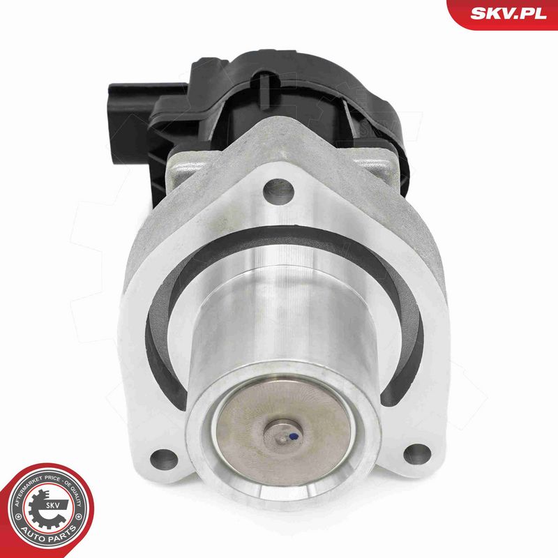 ESEN SKV 14SKV254 EGR Valve