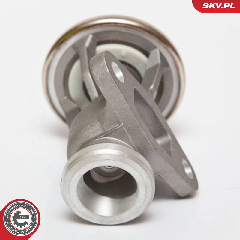 ESEN SKV 14SKV068 EGR Valve