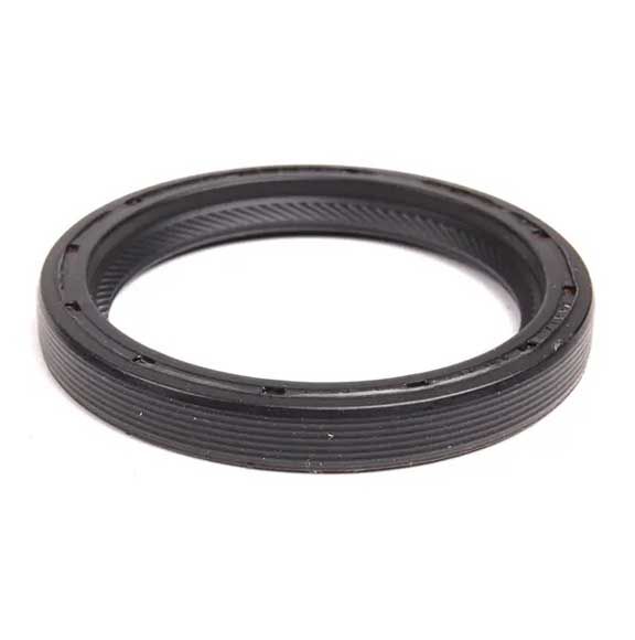 Gaskets/Seals