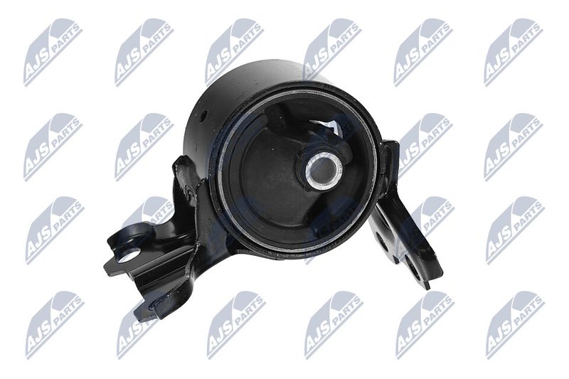 Paigutus, Mootor, NTY ZPS-CH-179