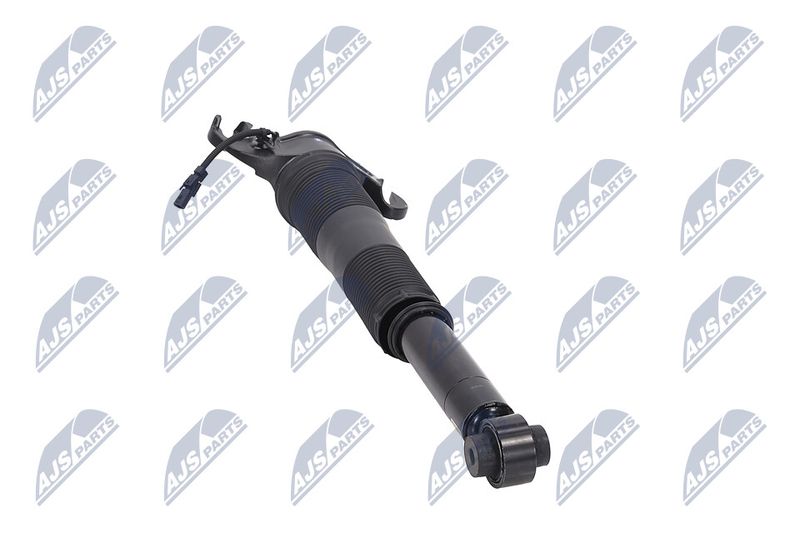 Amort, NTY A-LR-022