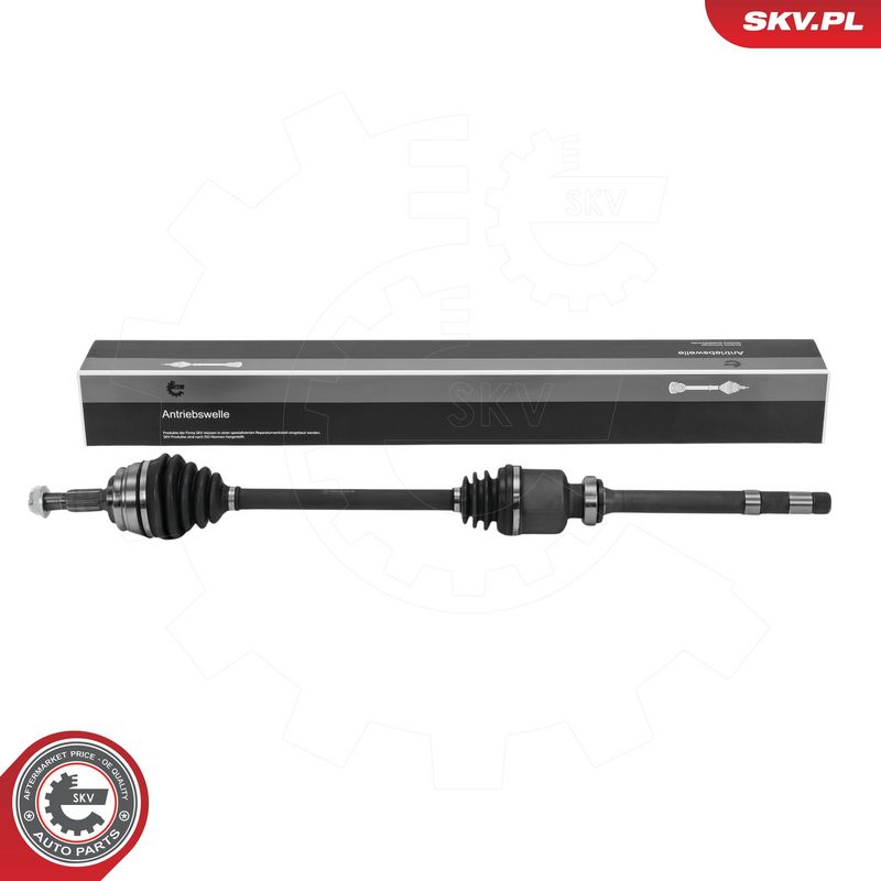 Prekės atitinka OEM kodą: 9811176780