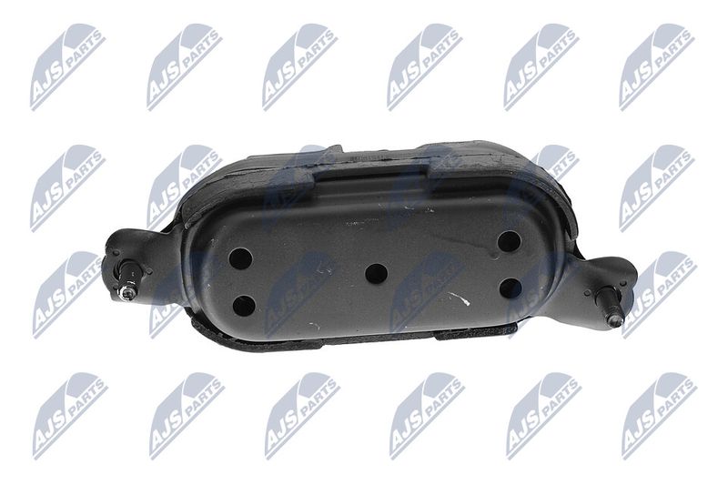 Paigutus, Mootor, NTY ZPS-CH-115