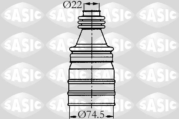 2933763.JPG