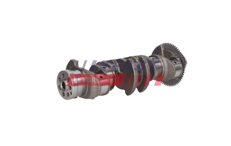 Prekė atitinka OEM kodą: 504017281