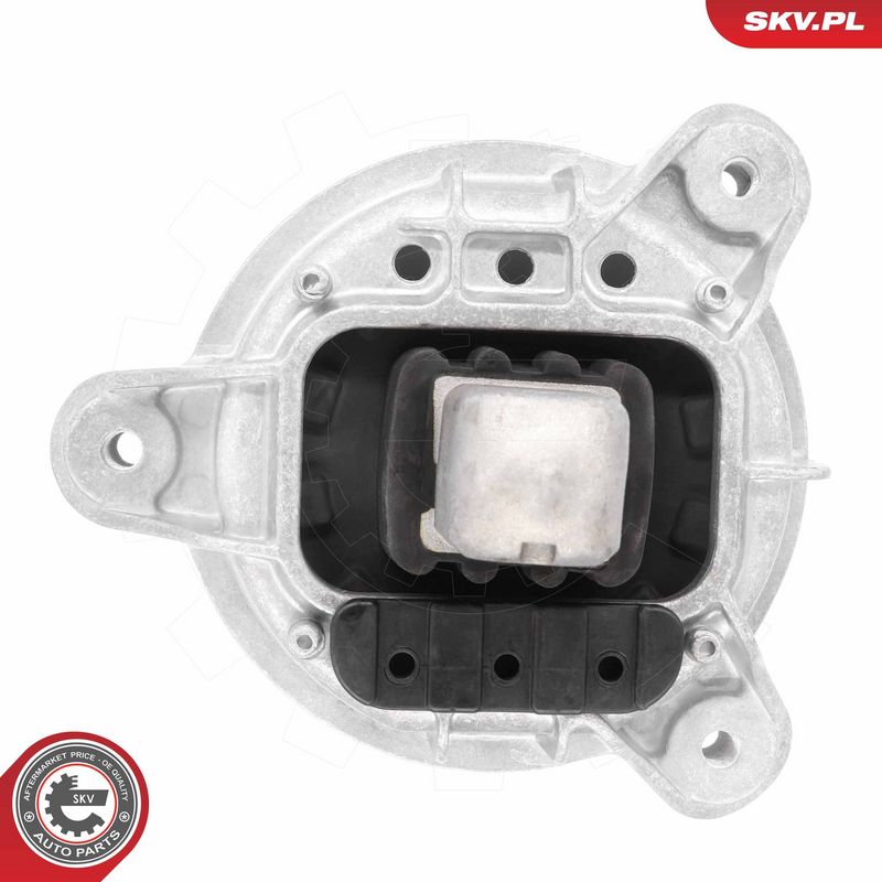 Paigutus, Mootor, ESEN SKV 75SKV250