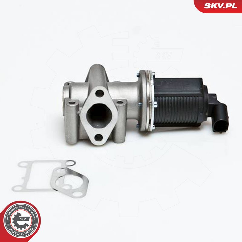 ESEN SKV 14SKV012 EGR Valve