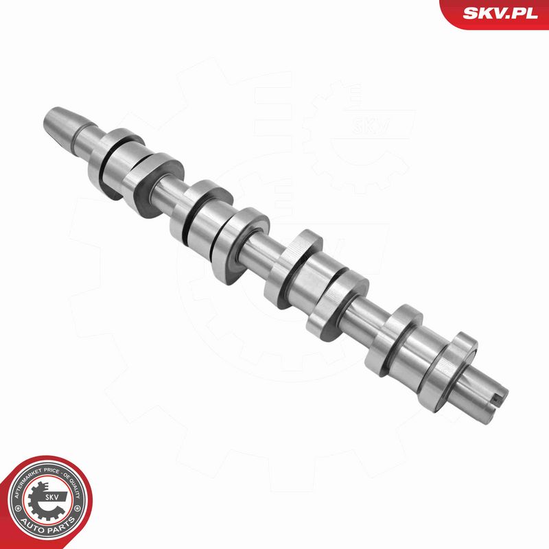 ESEN SKV 80SKV306 Camshaft Kit