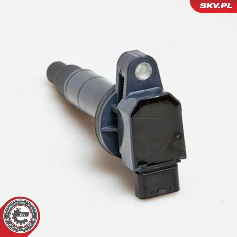 Süütepool, ESEN SKV 03SKV047