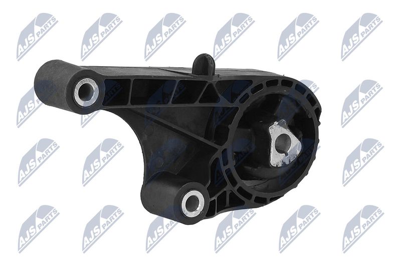 Paigutus, Mootor, NTY ZPS-PL-057